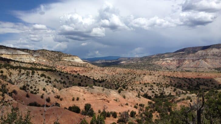 The Hidden Desert Beneath a U.S. Forest—A Strange Natural Twist