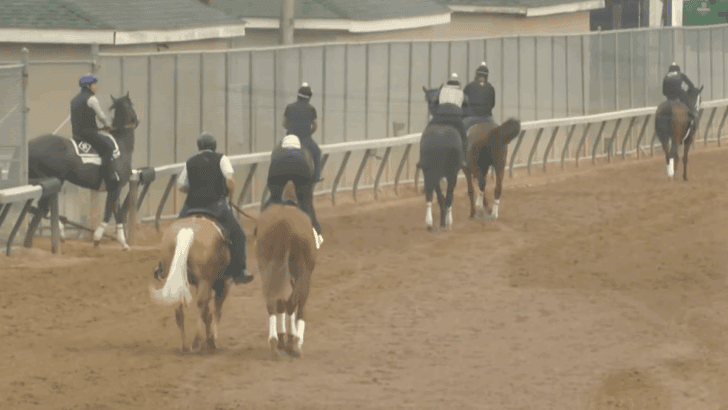 A New Era in Horse Racing Safety, How Science is Saving Lives at Churchill Downs