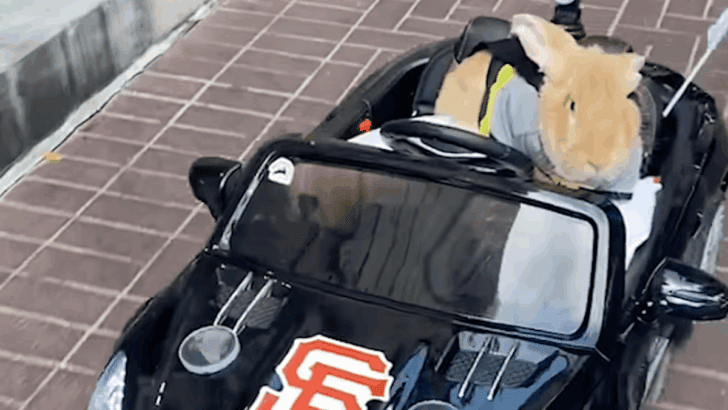Giant Bunny Alex the Great Wins Hearts in His Custom Mercedes