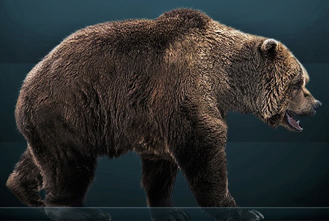 cave bear