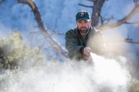 What to Do If You Encounter a Bear While Camping