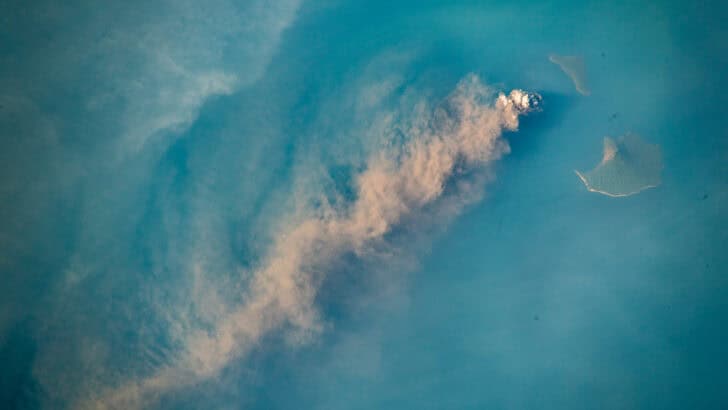 A Volcano Eruption Reveals Thousands of Hidden Sea Creatures