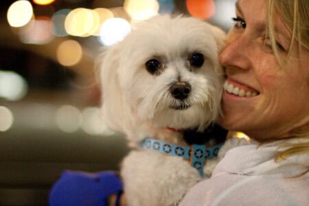 How Dogs, Horses, and Dolphins Assist in Human Therapy