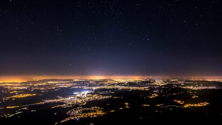 How Light Pollution Is Disorienting Nocturnal Wildlife