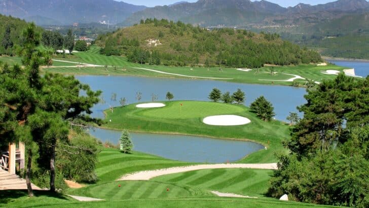 How to Design Wildlife-Friendly Golf Courses