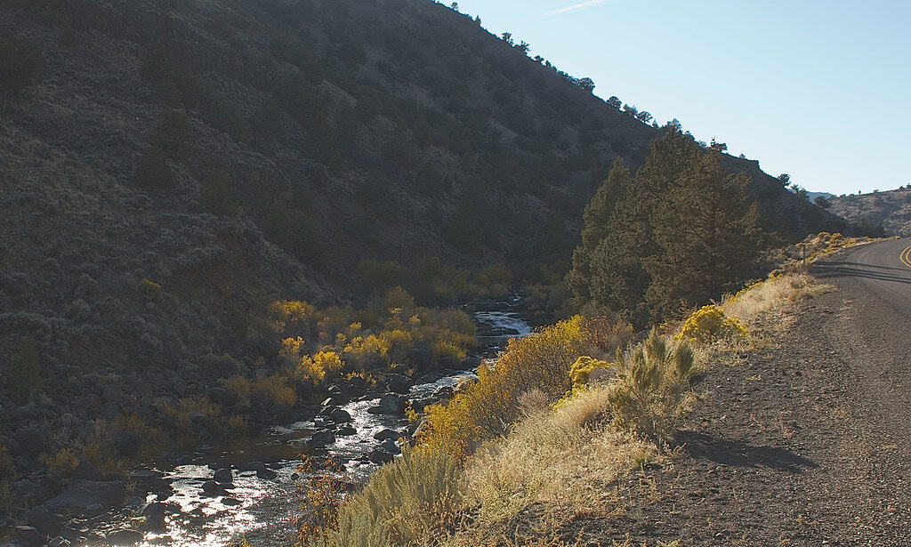 Oregon Outback