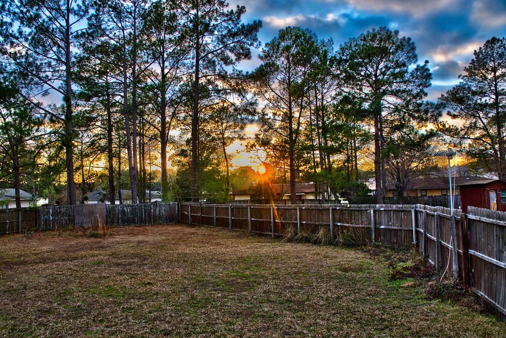Yard fence