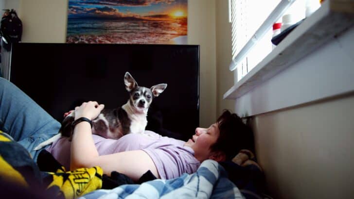 Do Pets Know When You&rsquo;re Sad?