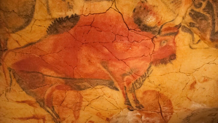 Ancient Cave Art Reveals Forgotten Animal Species