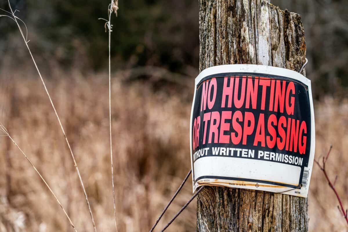 A no-hunt zone sign placed on a tree trunk.