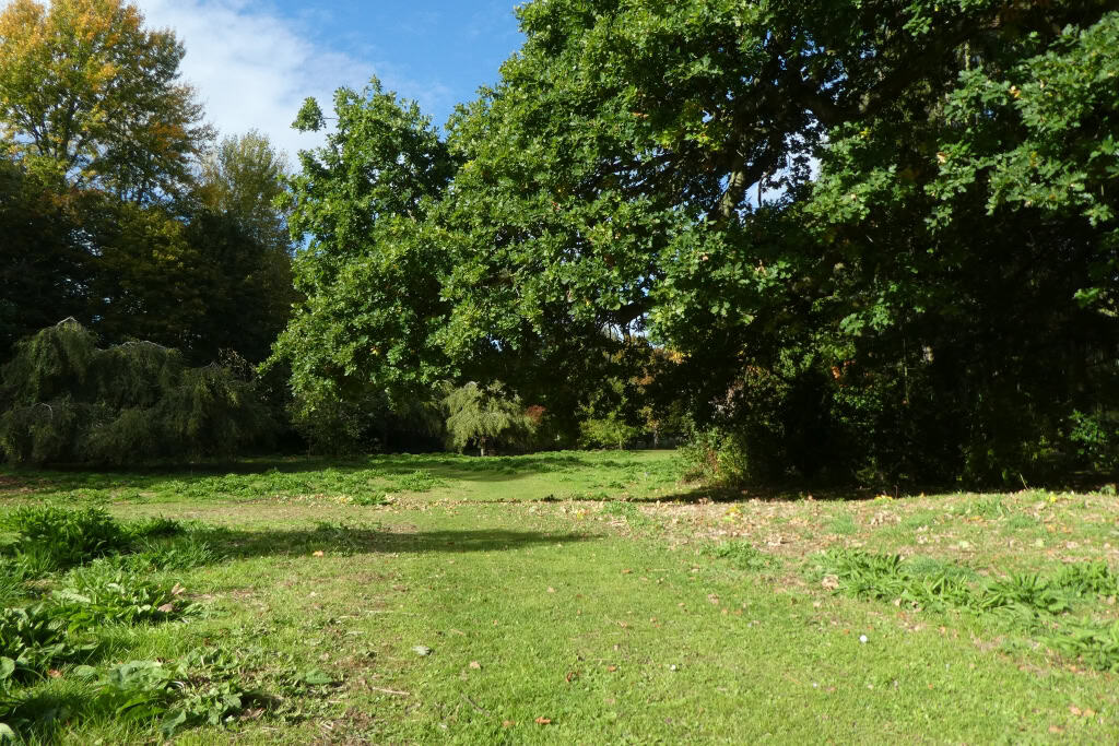 Wildlife Meadow