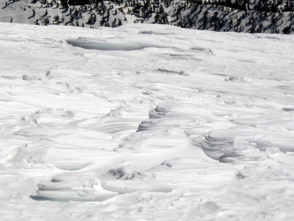 Arctic wind