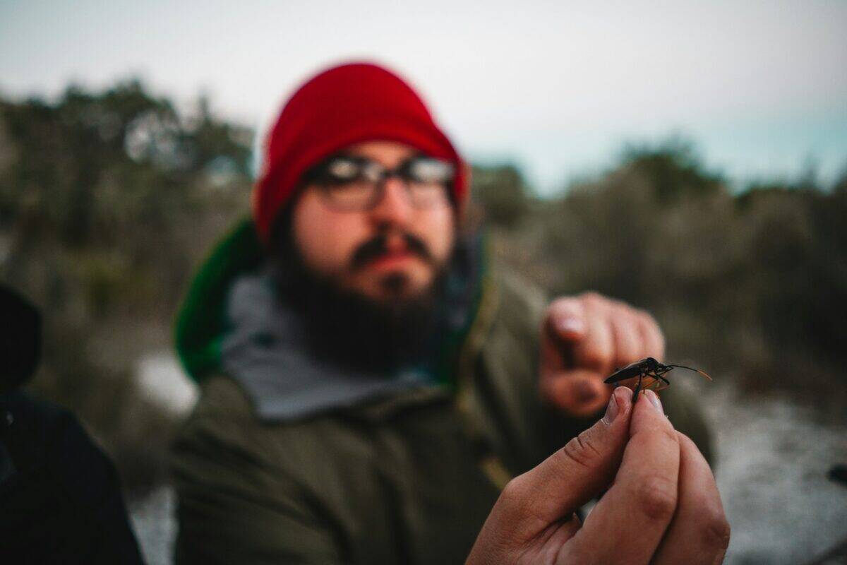a man holding a small insect in his hand