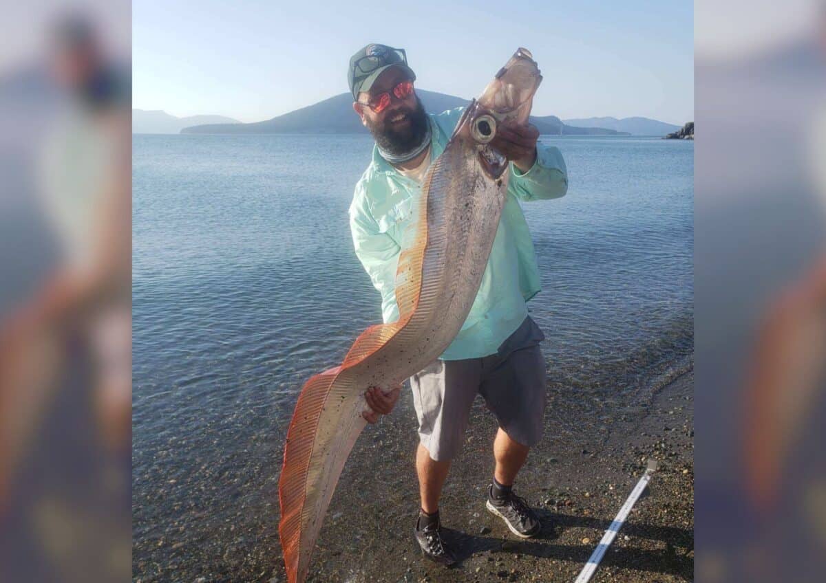 King of the Salmon