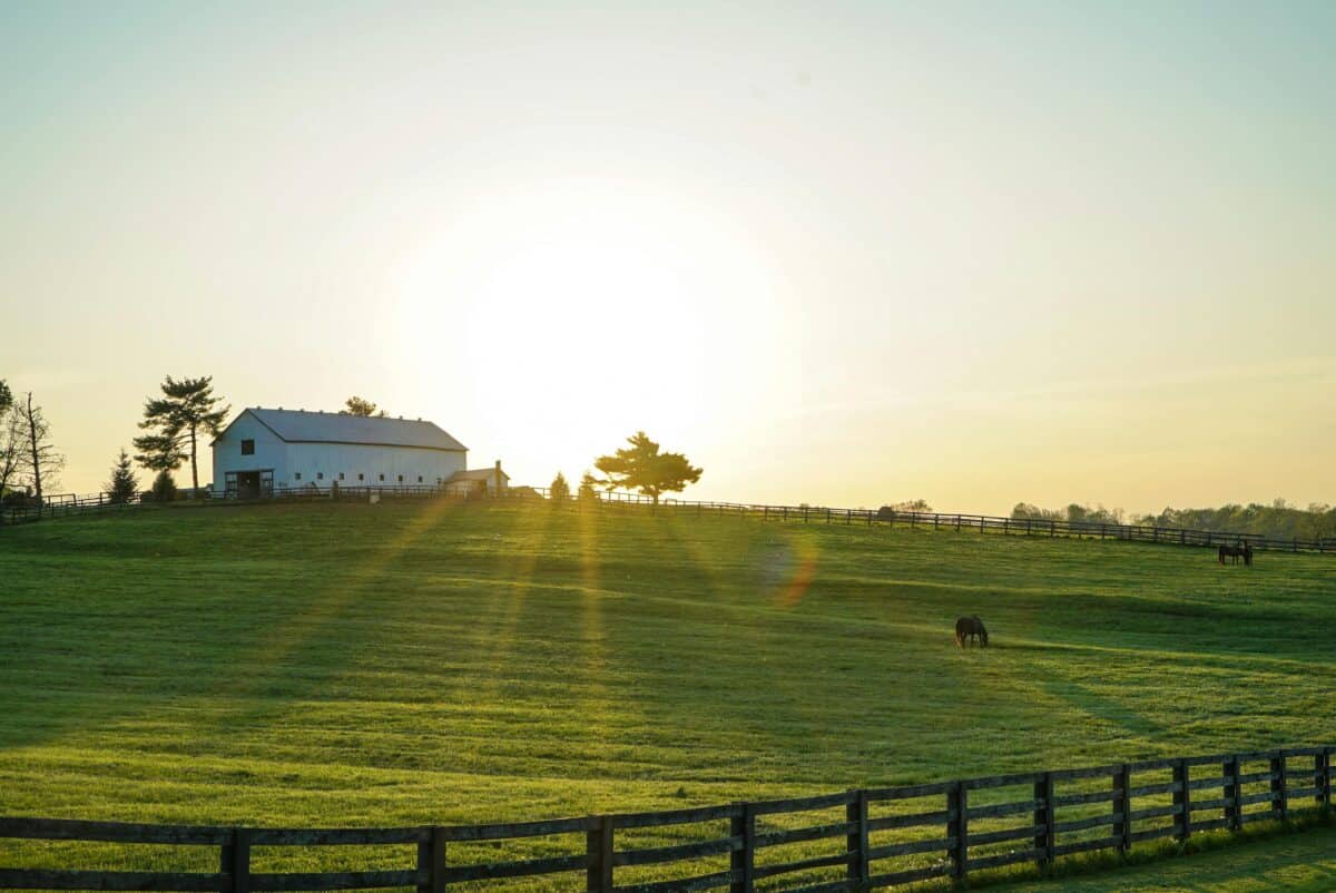 A wonderful view of the ranch from afar.