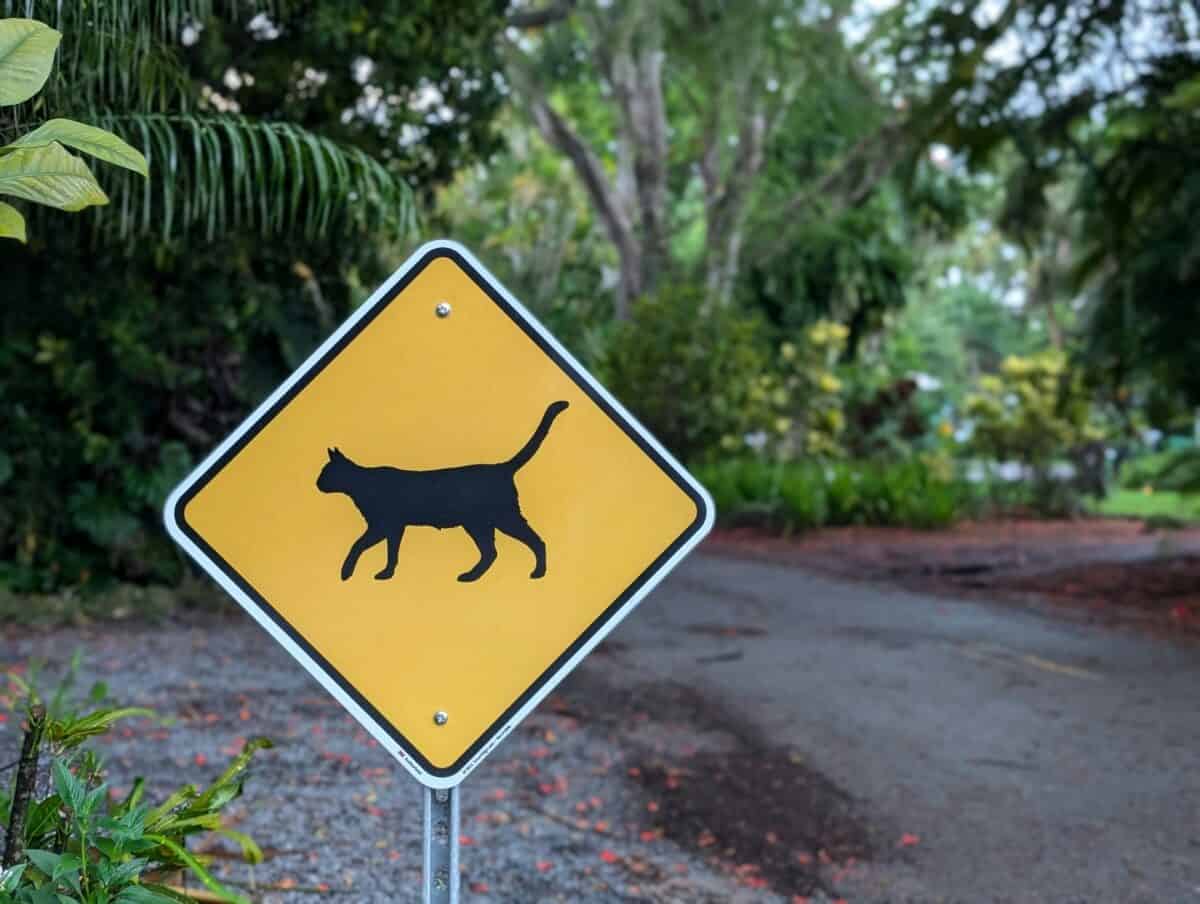 An example of animal crossing signage.