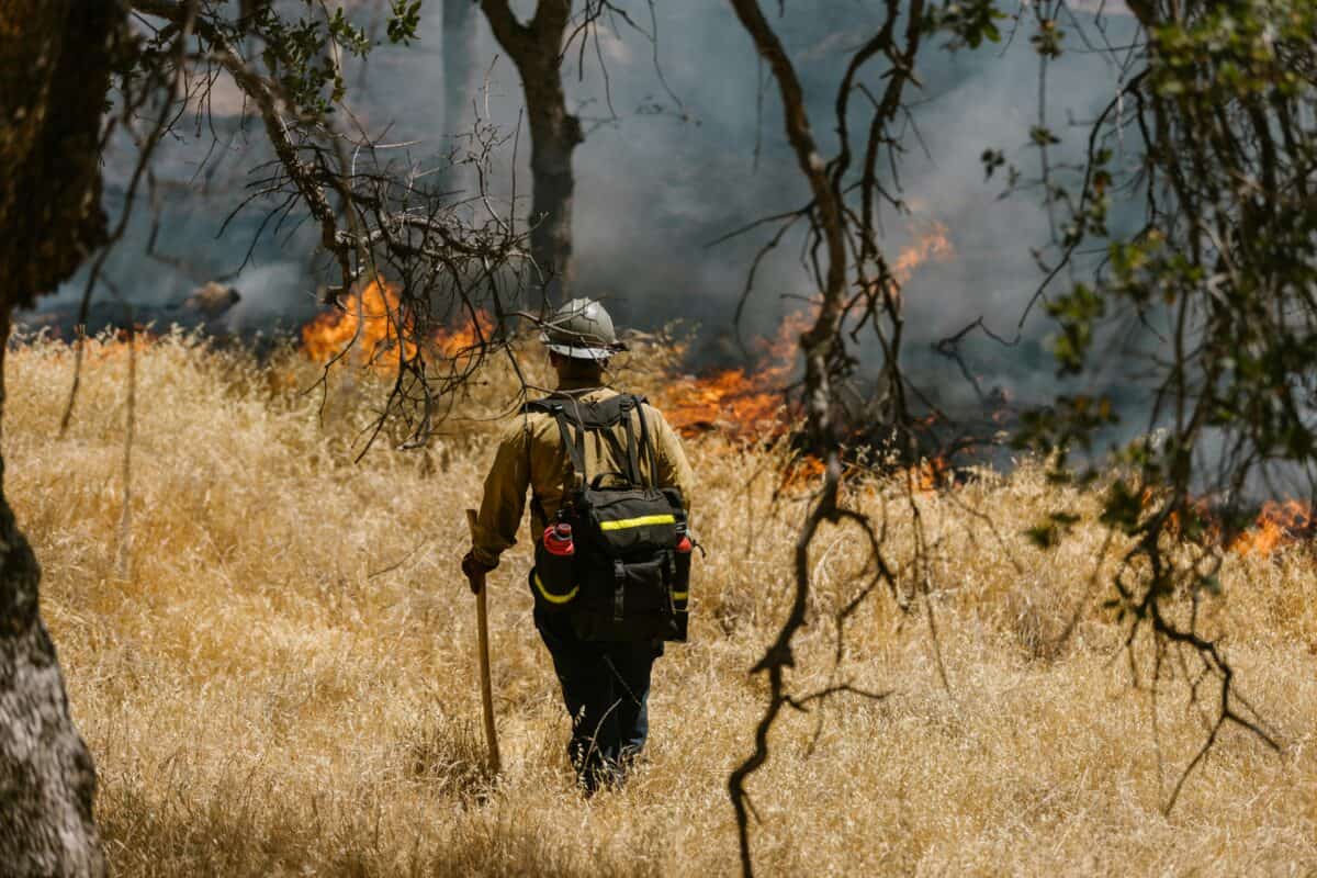 A wildfire being contained by firefighters.