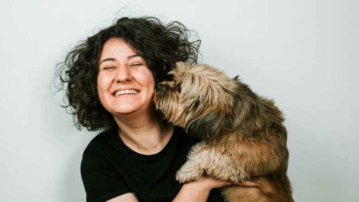Could Your Pet Actually Understand Your Emotions?