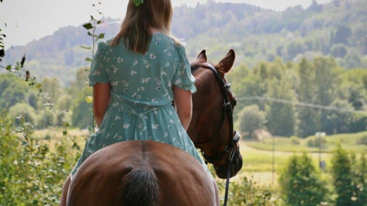 The Gentle Power of Equine Therapy