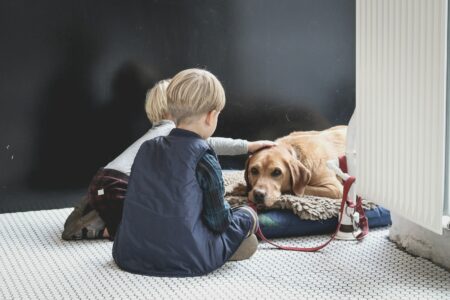 Why Some Pets Prefer Kids Over Adults