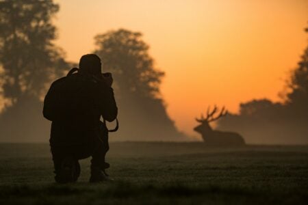 The Ethics of Wildlife Photography &mdash; When to Click, When to Walk Away