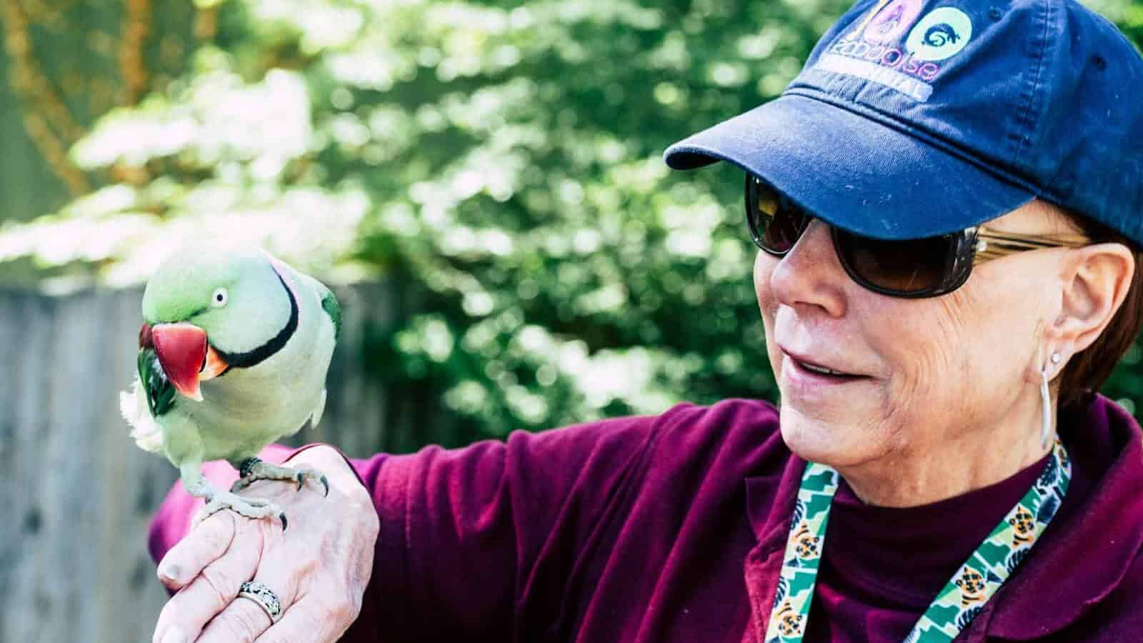 Smiling woman interacts with vibrant parrot at outdoor zoo exhibit, showcasing friendship and excitement.