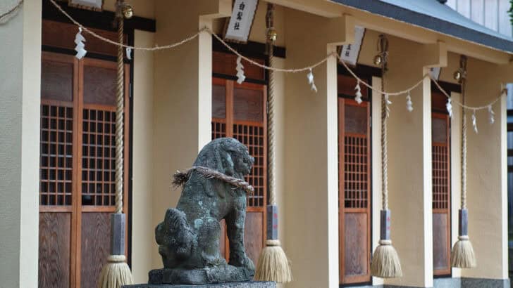 Dogs as Guardians of the Afterlife in Global Myths