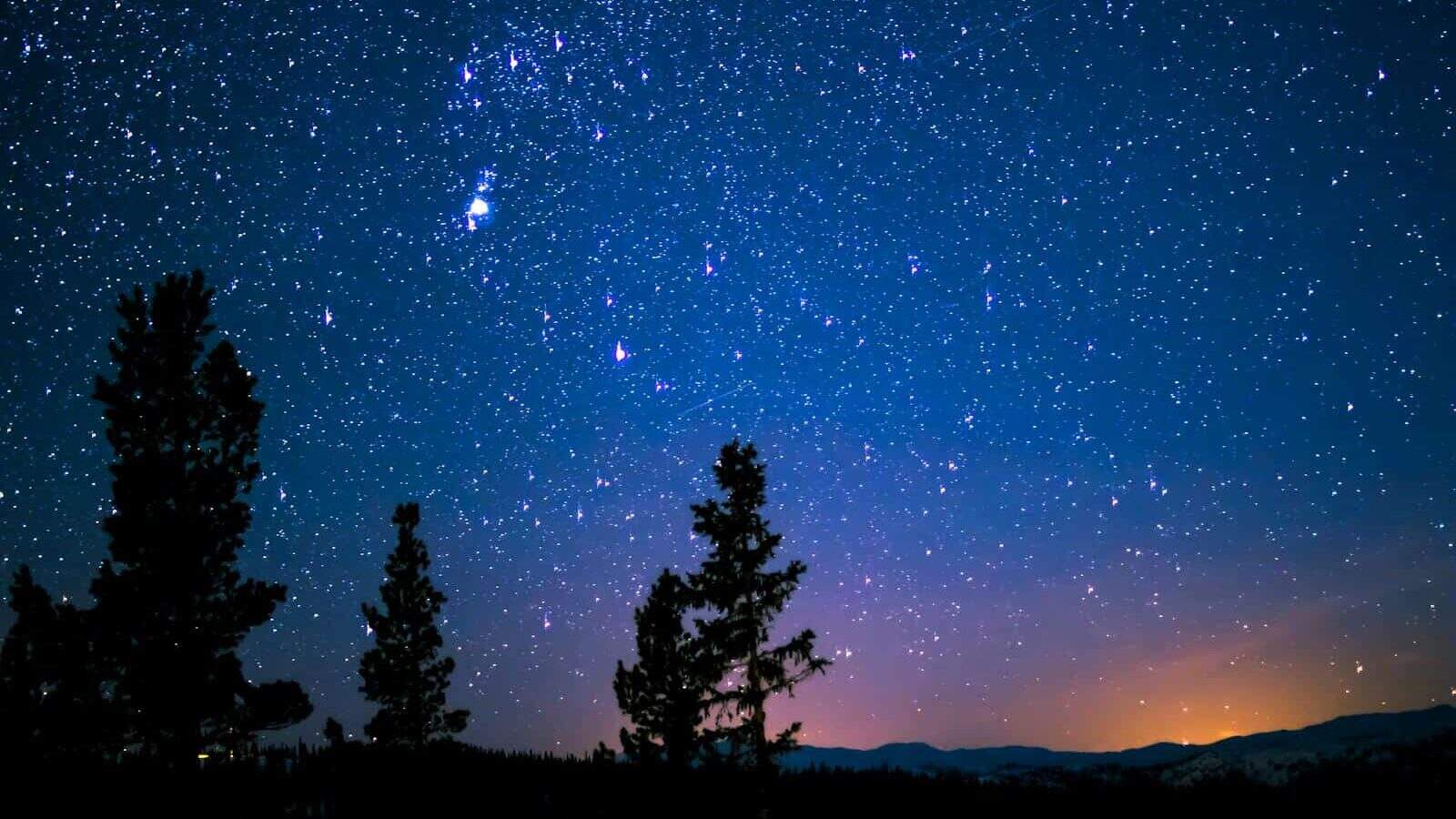 Beautiful starry night sky with silhouetted trees, showcasing the vast cosmos.