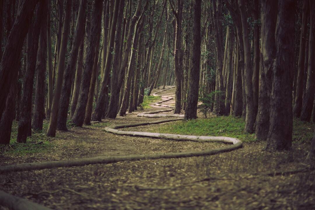 9. Snakes in Your Path Are a Warning (image credits: unsplash)