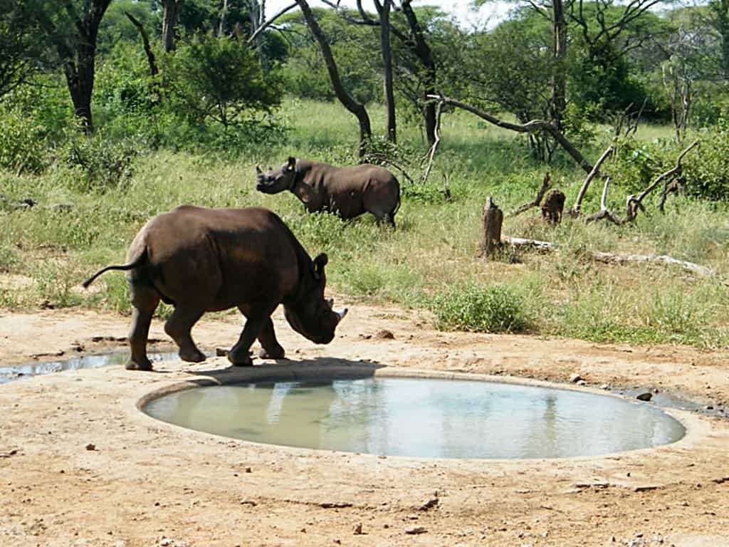 Okavango Delta, Botswana (image credits: flickr)