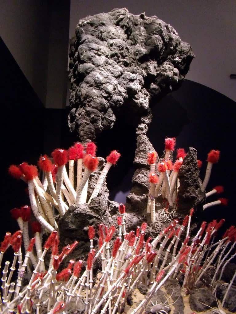 2. Giant Tube Worms - The Volcanic Gardeners (image credits: flickr)