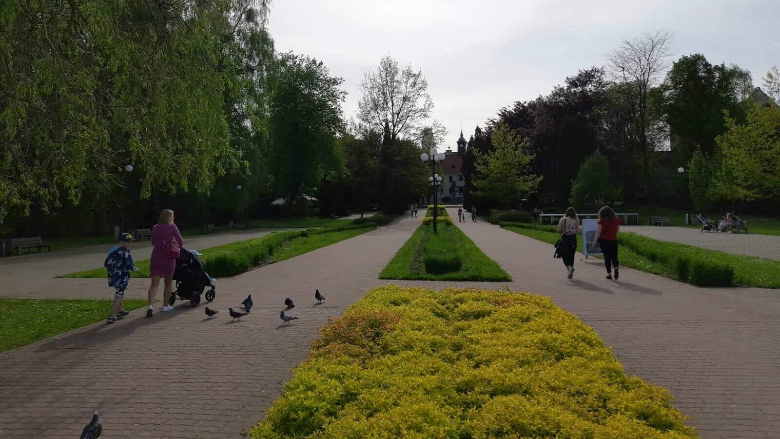 a group of people walking around a park