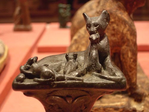 Egyptian Cat