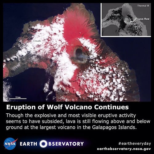Wolf volcano