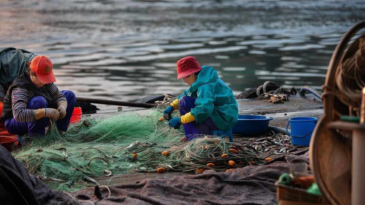 fishing net, fisherman, fishing, repair net, sea, women, nature, industry, sinner