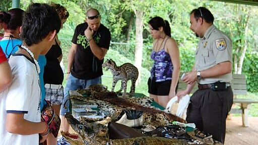 Wildlife Inspector, Javier Pacheco, talks about illegal animal trade and sanctions