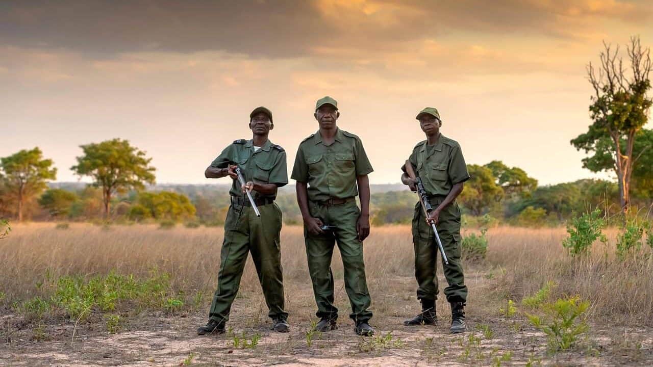game guards, men, guns, armed, weapon, uniform, anti poaching, security, patrol, safari, savannah, zimbabwe, anti poaching, anti poaching, anti poaching, zimbabwe, zimbabwe, zimbabwe, zimbabwe, zimbabwe