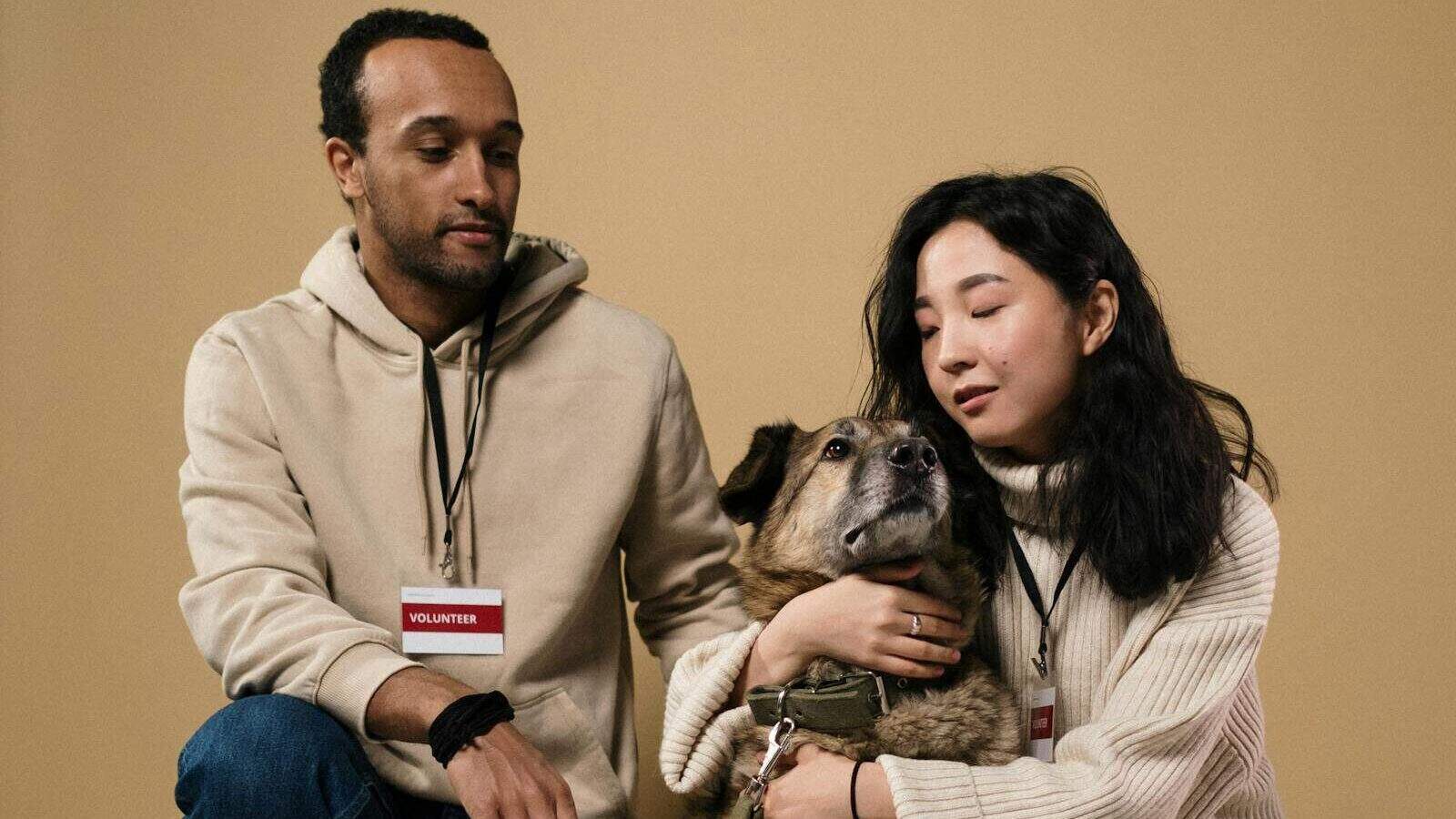 A caring couple of volunteers with a rescue dog in a studio setting.