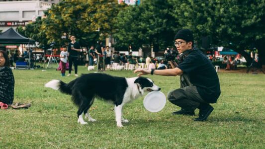 12 Training Challenges That Make Dog Ownership Feel Impossible