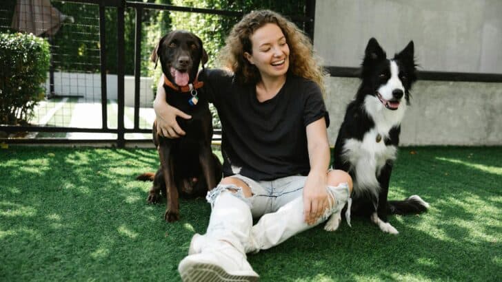 How Dogs Became America&rsquo;s Favorite Companion