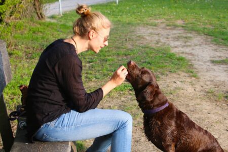 Do Dogs Actually Understand Human Words?