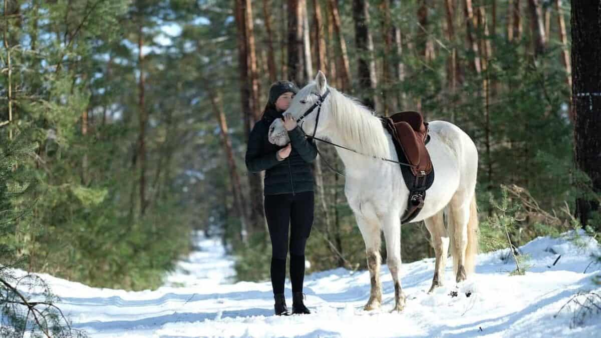 horse, woman, pony, animal, winter, nature, landscape, love, pet, snow, hug, horse, horse, horse, horse, horse, hug