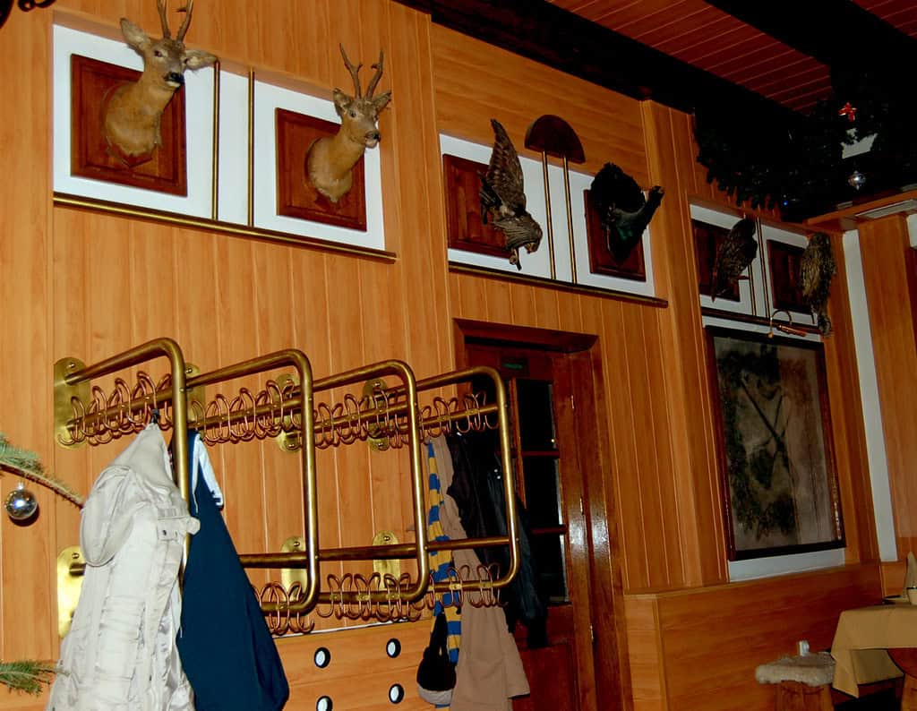 Hunting trophy