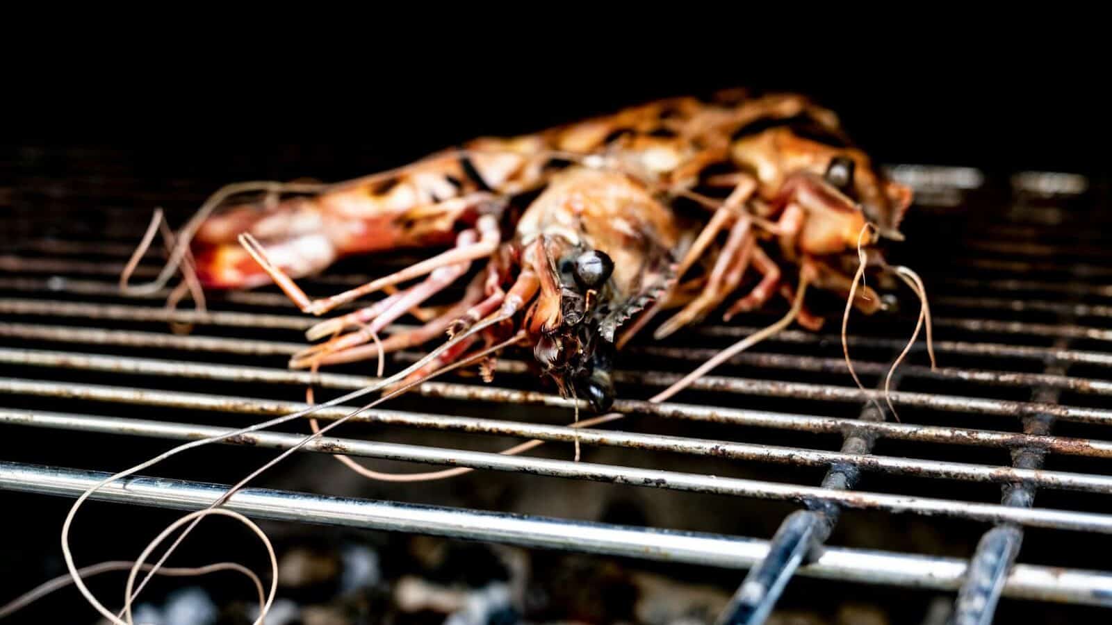 grilled shrimp on black metal grill