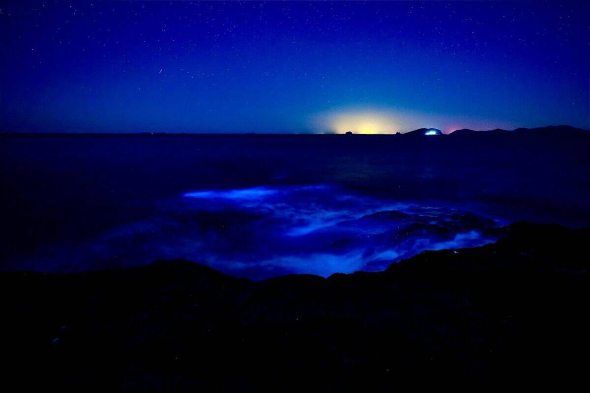 Glowing bioluminescence illuminates ocean waves at night.