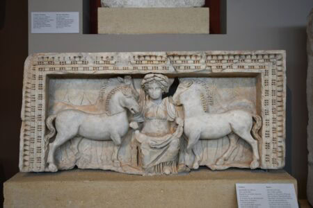 Why Horses Are Revered in Celtic and Mongolian Myths