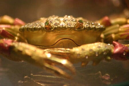 The Most Decorated Crustacean in the Sea Literally Wears Camouflage