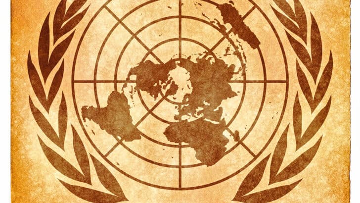 United Nations Explores Financing the Future of Wildlife Conservation