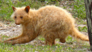 Image by Magdben, CC BY-SA 4.0 https://creativecommons.org/licenses/by-sa/4.0, via Wikimedia Commons