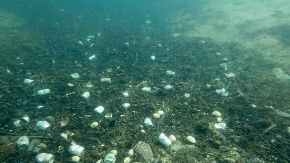 Piled waste underwater.
